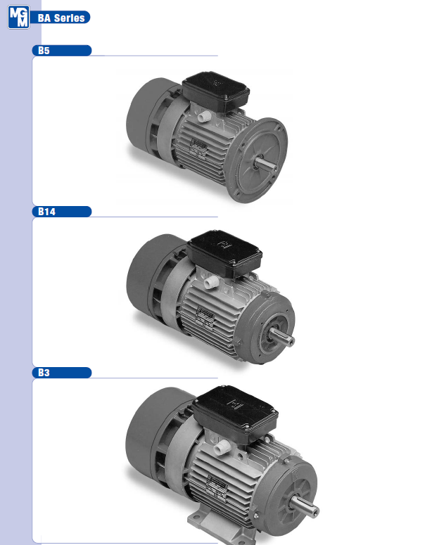 MGM制动电机Brake motors | 免责声明：我们不是网站所列品牌的授权代理