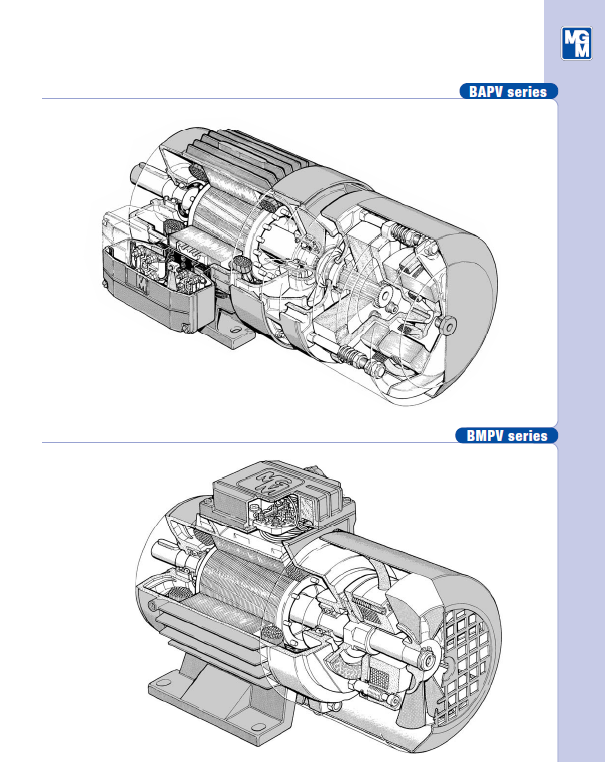 MGM制动电机Brake motors | 免责声明：我们不是网站所列品牌的授权代理