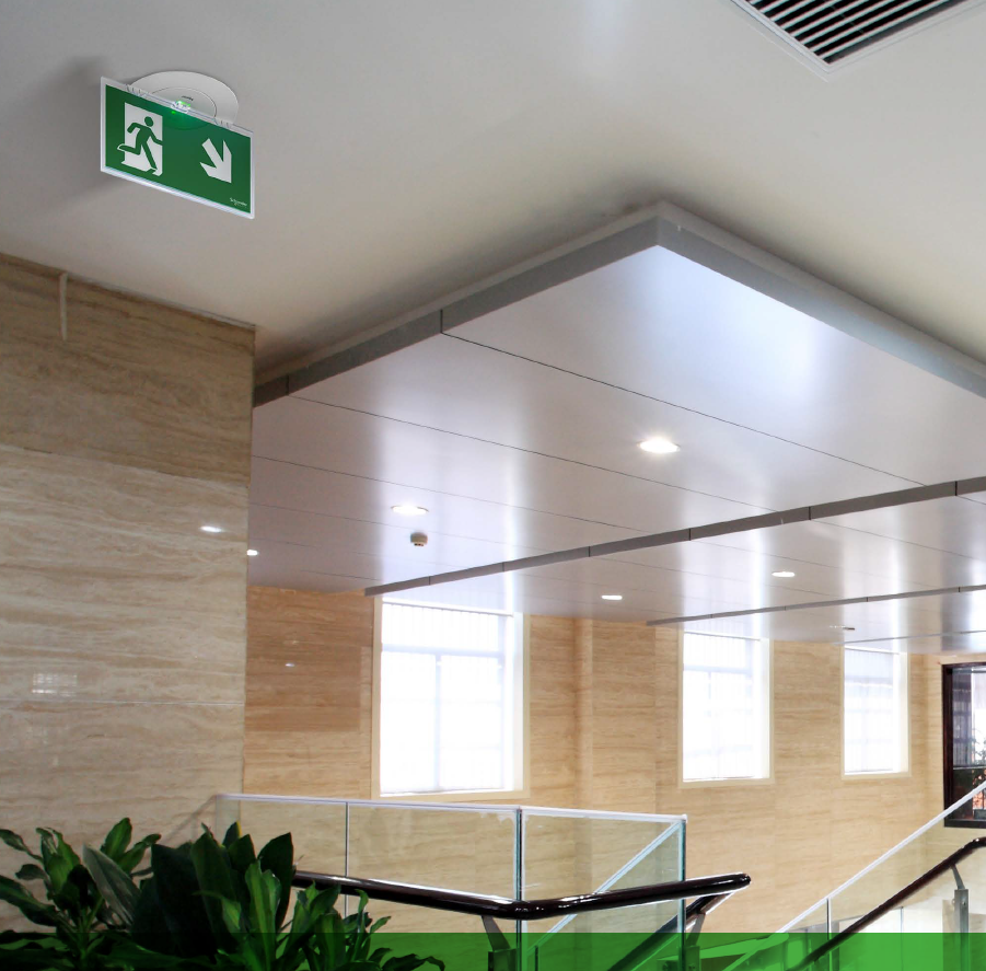 Schneider Electric 施耐德电气应急照明和ESMI火灾报警组件Emergency Lighting & Fire Alarm Components